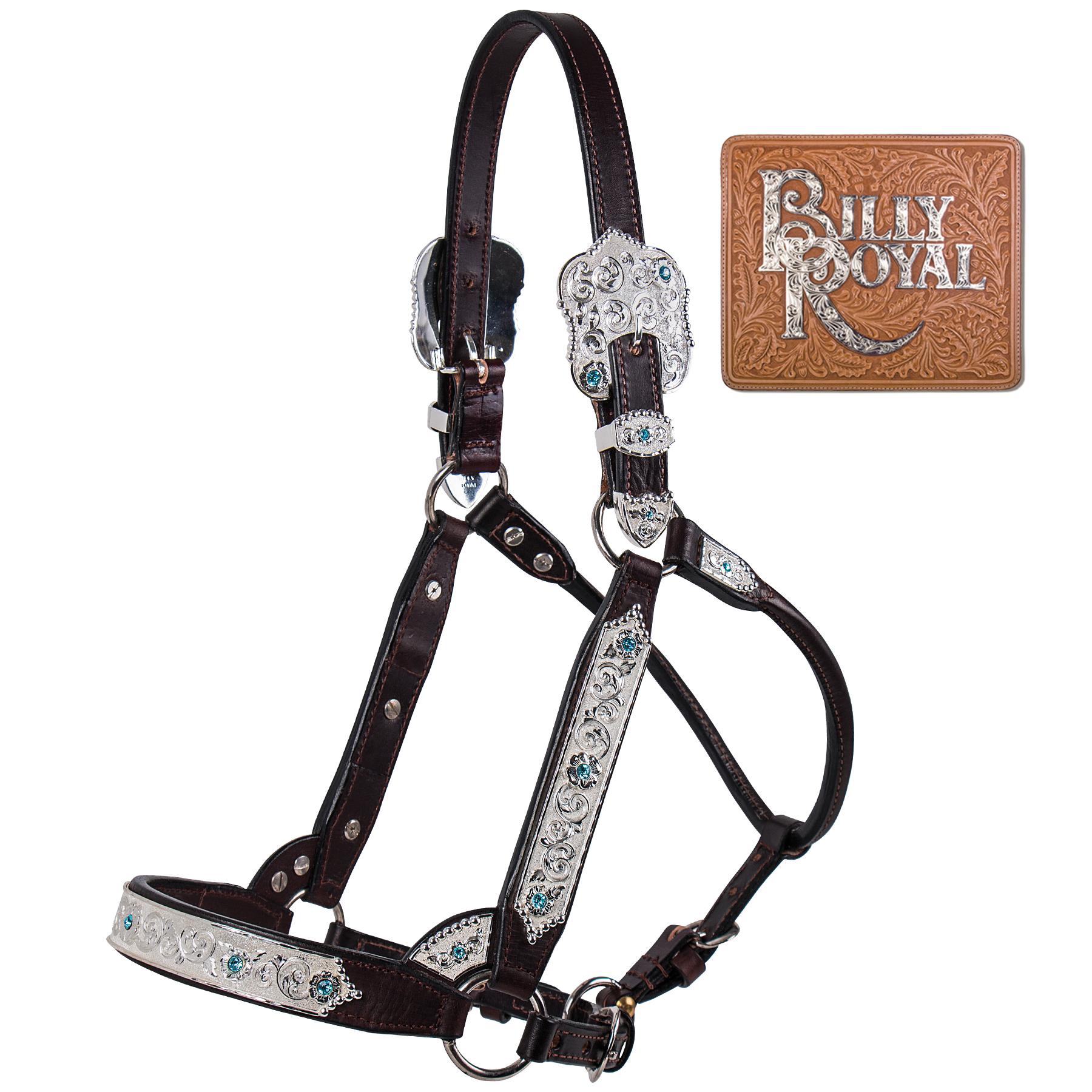 Image of a product from the category